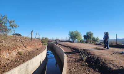 CNR