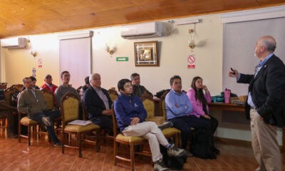 Desarrollo Proveedores